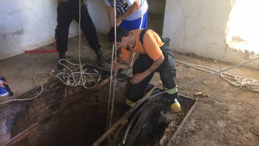 Rescataron un perro que había caído en un pozo de catorce metros